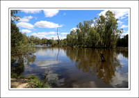 4 - 17.01.15 OVENS RIVER - W - (4)