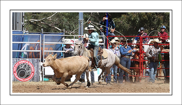 Echuca Rodeo 2024 - WEB - (13)