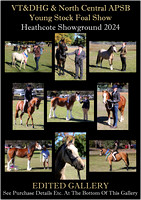 VT&DHG & North Central APSB - Youngstock Foal Show 2024 - Rob - Edited