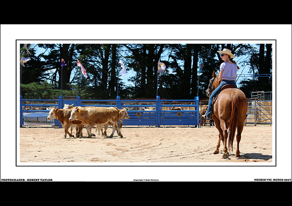 NEERIM RODEO 2017 - WEB - (19)