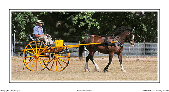 VT&DHG Harness Show 2019 - WEB - Day 2 (4)