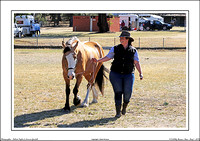 VT&DHG Harness Show 2019 - WEB - Day One (16)