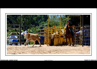 NEERIM RODEO 2017 - WEB - (8)