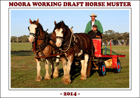 Moora Working Draft Horse Muster 2014 - Saturday