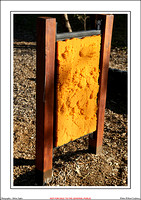 Winton Wetlands Sculptures - WEB - (15)