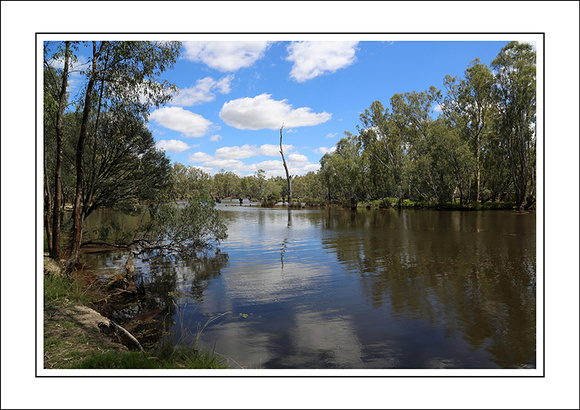 4 - 17.01.15 OVENS RIVER - W - (7)