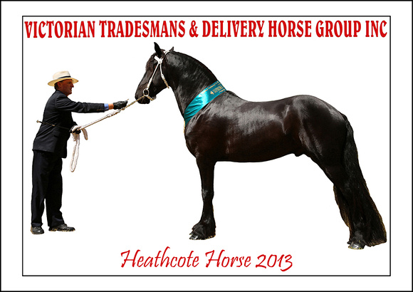 H.HORSE 2013 - ZEN - (1)