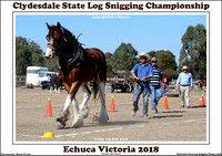 Clydesdale State Log Snigging Championship 2018