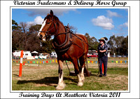 VT&DHG Training Days Heathcote Vic. - 2011