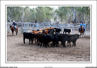 Barmah Muster 2019 - Friday