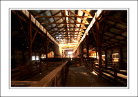 03.07.06 - W - P.COOTA WOOLSHED - (10)
