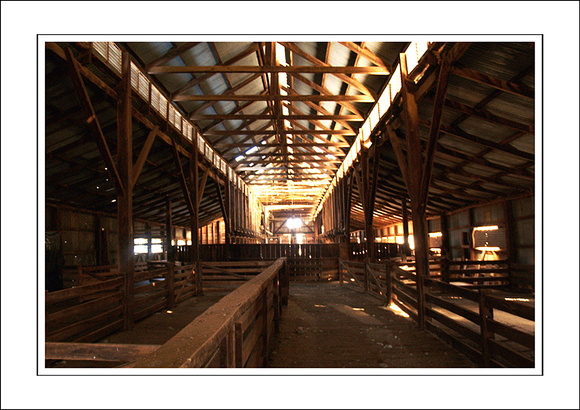 03.07.06 - W - P.COOTA WOOLSHED - (10)