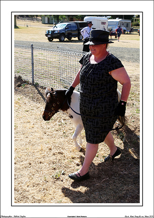 Aust. Min. Pony Society Show 2019 - WEB - (14)