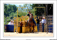 Neerim Rodeo 2017