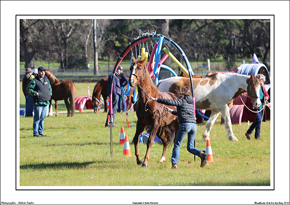 Heathcote D.&Ex.Sp.Day 2022 - WEB - (24)