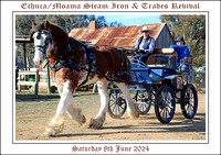 Steam Rally - Echuca/Moama Sat. 2024