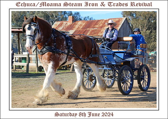 Steam Rally 2024 - WEB - Sat. (1)