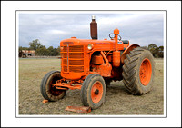 Rotary Steam,Horse & Vintage Rally - 2013 - Vintage Tractors