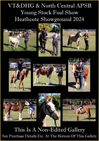 VT&DHG & North Central APSB - Young Stock Foal Show 2024 - Rob - Not Edited