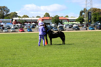 AMHS Xmas Event Bendigo 2024 - WEB - (4)