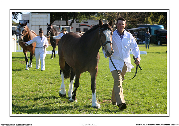 NAT.CLYD.& H.HORSE FEST. 2019 - WEB - (7)