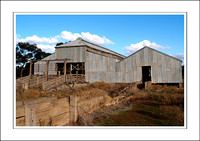 03.07.06 - W - P.COOTA WOOLSHED - (6)