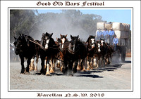 Barellan Good Old Days Festival 2018