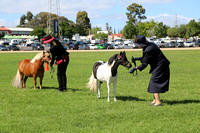 AMHS Xmas Event Bendigo 2024 - WEB - (18)