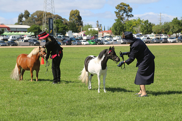 AMHS Xmas Event Bendigo 2024 - WEB - (18)