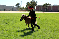 AMHS Xmas Event Bendigo 2024 - WEB - (12)