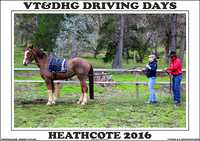VT&DHG Training Days Heathcote Vic. - 2016