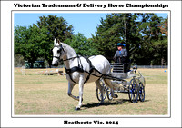 VT&DHG Champioship Heathcote Vic. - 2014