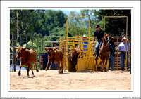 NEERIM RODEO 2017 - WEB - (6)