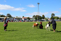 AMHS Xmas Event Bendigo 2024 - WEB - (20)