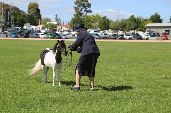 AMHS Xmas Event Bendigo 2024 - WEB - (15)