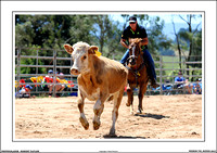 NEERIM RODEO 2017 - WEB - (18)