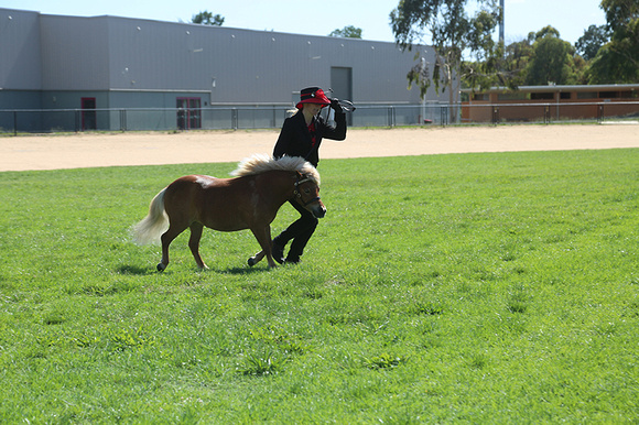 AMHS Xmas Event Bendigo 2024 - WEB - (11)