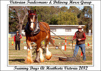 VT&DHG Training Days Heathcote Vic. - 2012 Day 1